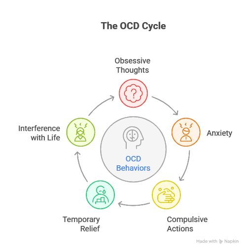 The OCD Cycle